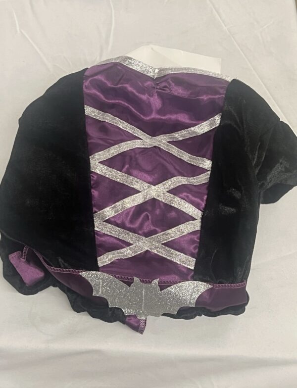 Morph Costumes Purple Witch Halloween Costume for Children, Girls M